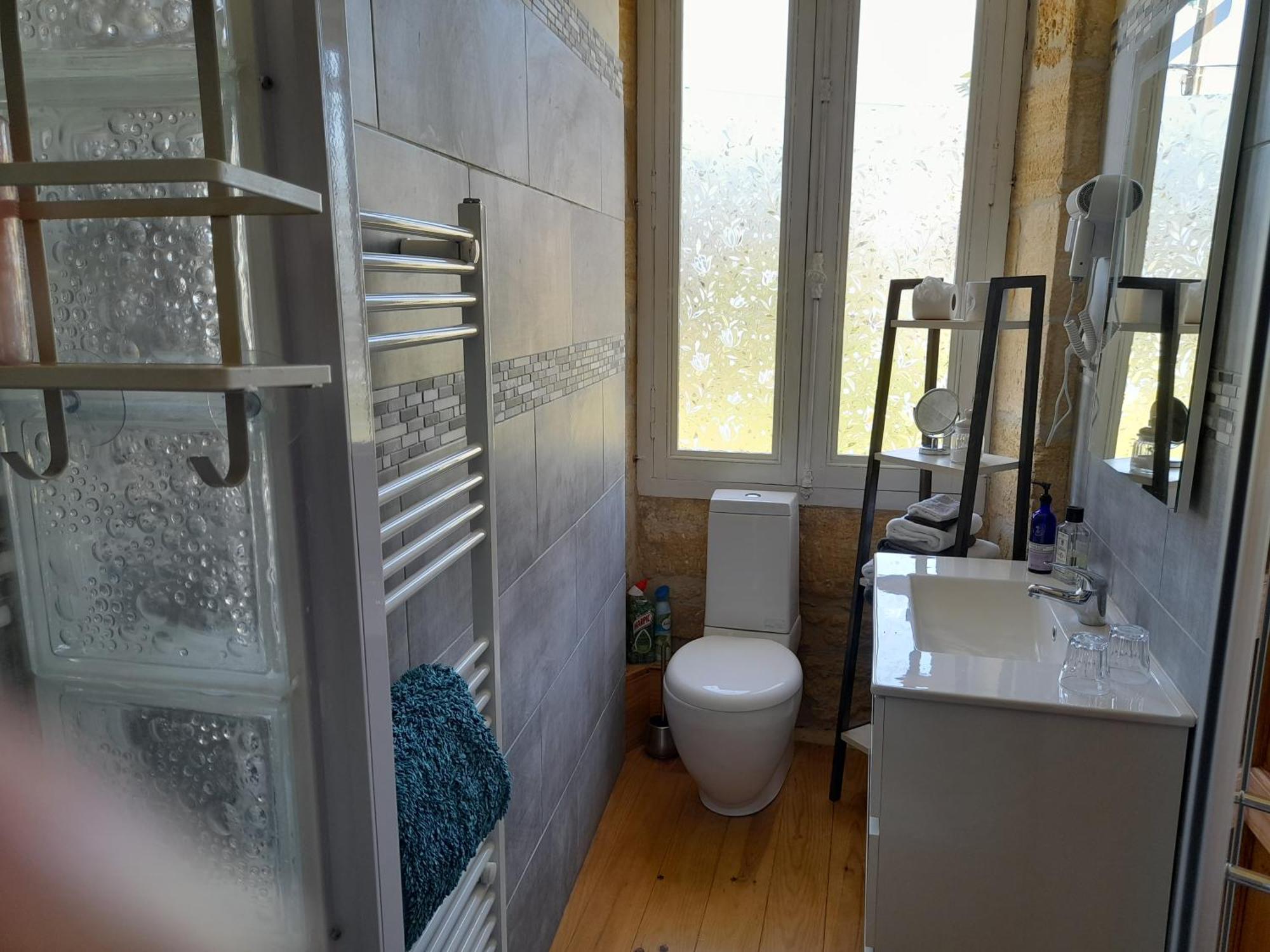 Bed and breakfast Manoir Demouret Sarlat Extérieur photo